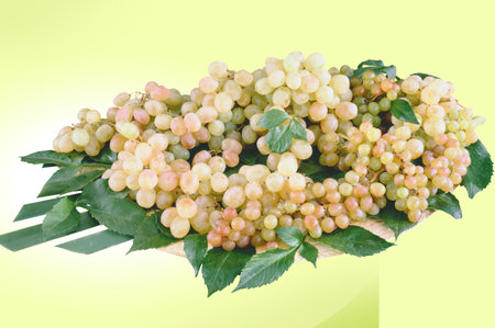 Nice description with grapes for your Easter decorationの写真素材