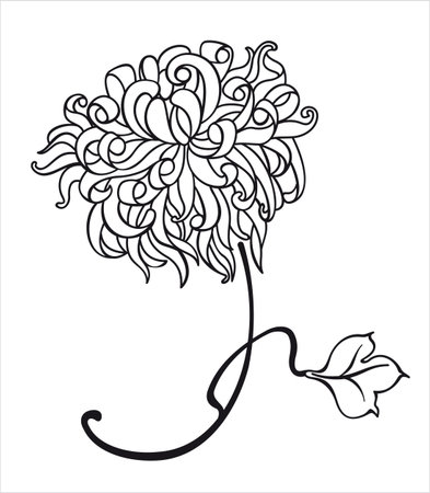 chrysanthemum flowerのイラスト素材