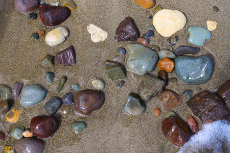 Wet Beach Stonesの写真素材