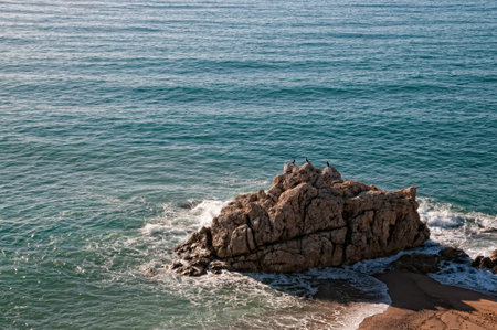 Detail of the Costa Brava in Spain