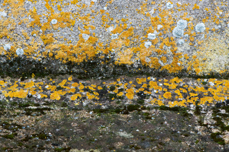 Fragment of a wall with moistureの写真素材