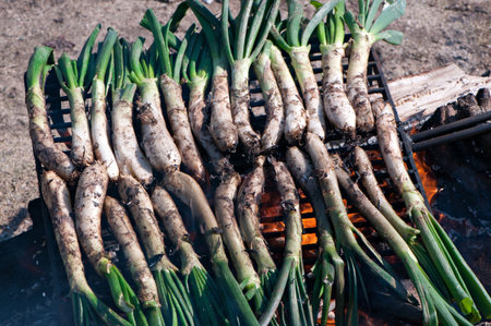 Typical food of catalonia of roasted onions