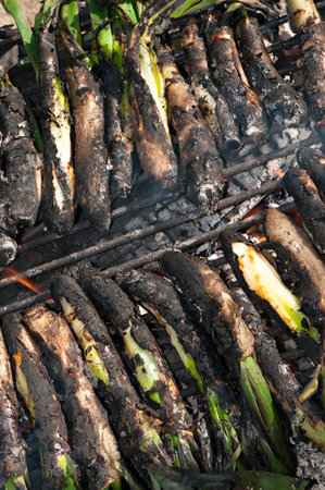 Typical food of catalonia of roasted onions