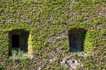 Building invaded by a Creeperの写真素材