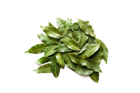 Detail of several bay leaves