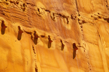 Detail of a wall with moisture treatment