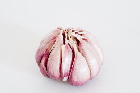 Detail of a head of garlicの写真素材