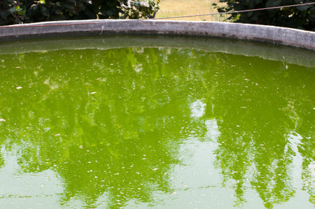 Detail of a water tankの写真素材