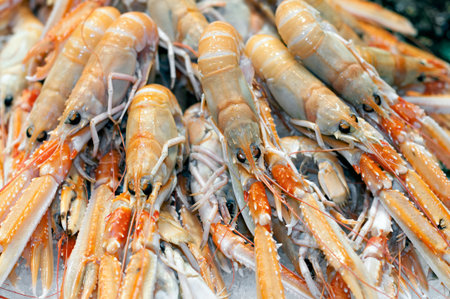 Fresh lobster displayed for saleの写真素材