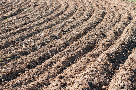 plowed field with tractor traces 