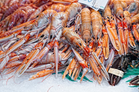 Detail of a crayfish in a fish specialistの写真素材