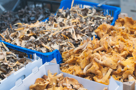 Detail Cantharellus about in a traditional storeの写真素材