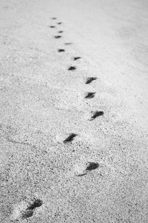 Footprints in the sand of a beach in black and white