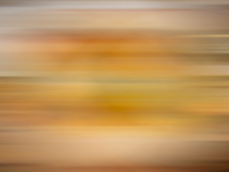 Special series of moving fundsの写真素材