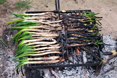 typical catalan sweet onions on the barbecue の写真素材