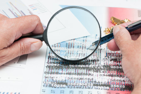 Numerical and graphical data simulating a financial study