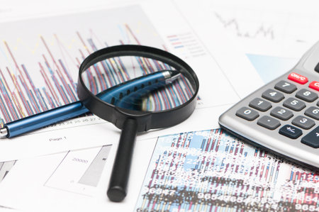 Numerical and graphical data simulating a financial study