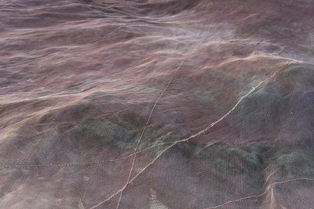 Special to fund fishing netsの写真素材