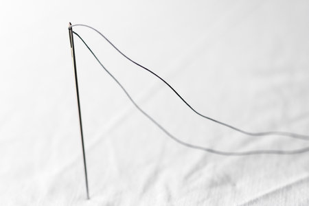 Detail of a needle with thread thingsの写真素材
