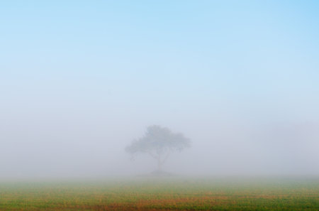 Overview of a landscape with fogの写真素材