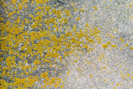 Detail of a wall with moistureの写真素材