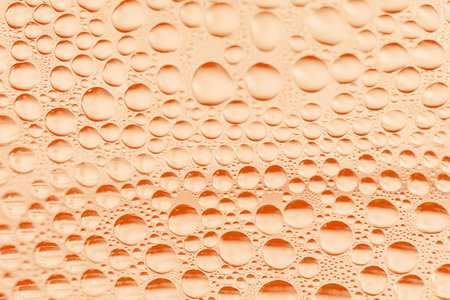 Condensation of water droplets in a bottleの写真素材