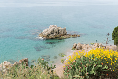 Landscapes and details of the Costa Brava in Girona (Spain)の写真素材