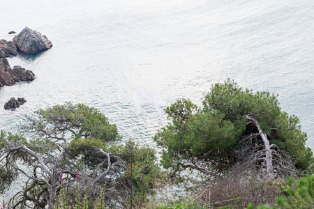 Landscapes and details of the Coast Brave (Costa Brava) in Girona (Spain)の写真素材