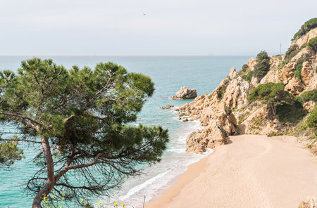 Landscapes and details of the Coast Brave (Costa Brava) in Girona (Spain)の写真素材
