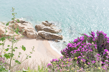 Landscapes and details of the Coast Brave (Costa Brava) in Girona (Spain)の写真素材