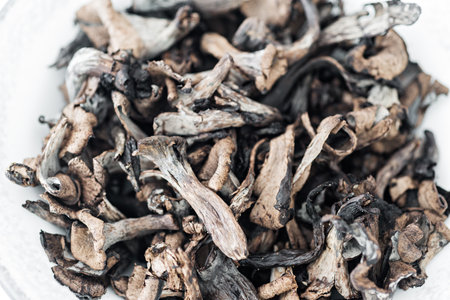 Detail of a plate of Craterellus cornucopioidesの写真素材