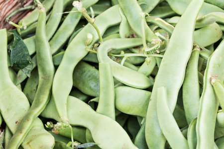 Ecological vegetables, cultivated with methods based on environmental respect and optimization of...