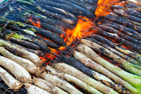Grilled tender onions called in catalan calÃ§ots (Traditional food of Catalonia - Spain)