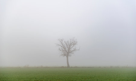 Winter landscape with morning fogの写真素材