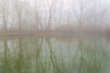 Views of a lake with fog in winterの写真素材