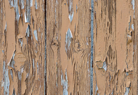 Detail of a door with peeling paintの写真素材
