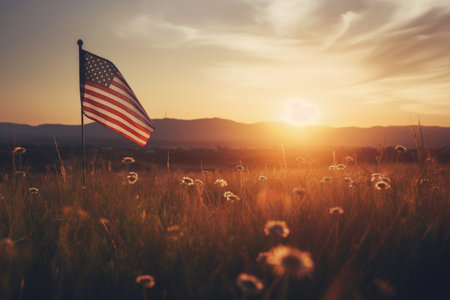 A field of tall grass with the american flagの素材