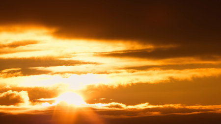 Professional image of sunset A picture taken in the jungle High quality image