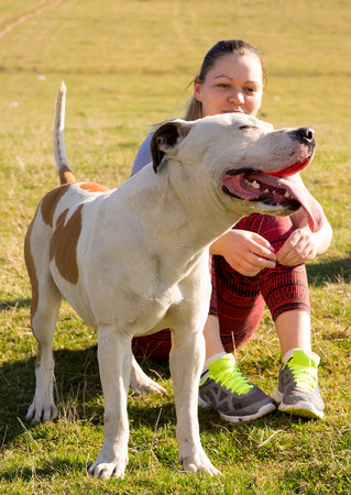 Happy dog smiling outdoors in the nature with his lady owner.の写真素材