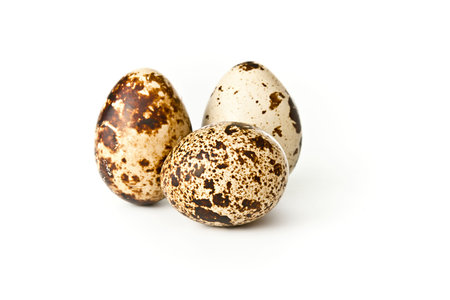 Quail eggs  isolated on white backgroundの写真素材