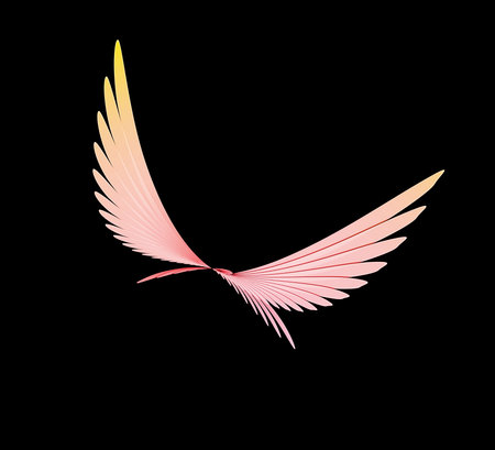 Abstract, fractal colorful birds on the black backgroundsの写真素材