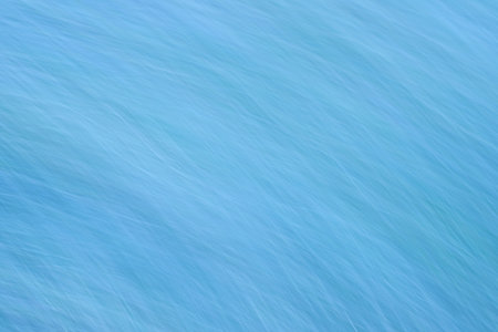 Photo of blue grass for a long timeの写真素材