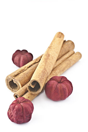 Cinnamon sticks with dried red ziediÅiemu on a white background.の写真素材