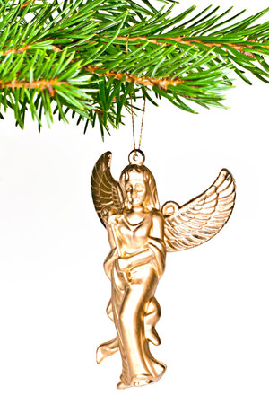 Christmas decoration angel on spruce branch. Isolated on a white background.の写真素材