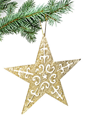 Isolated on a white background spruce twig, the Christmas star.の写真素材