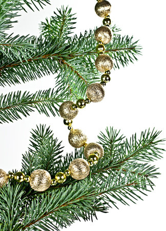 Isolated on a white background with a spruce twig Christmas decorations in a string of bombs.の写真素材