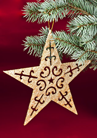 On a red background spruce twig, the Christmas star.の写真素材