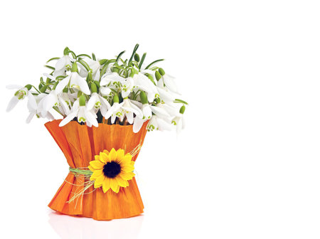 Snowdrop orange paper in a vase on a white background.の写真素材