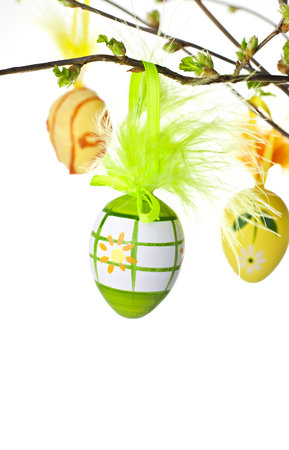 Branch with buds, hanging eggs.の写真素材