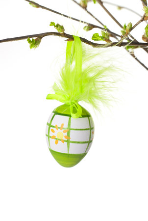 Branch with buds, hanging eggs.の写真素材